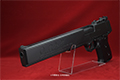 gun