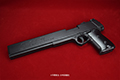 gun