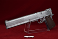 gun
