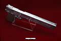gun