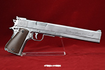gun