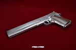 gun