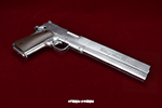 gun