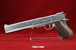 gun