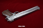 gun