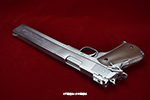 gun