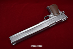gun