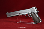 gun